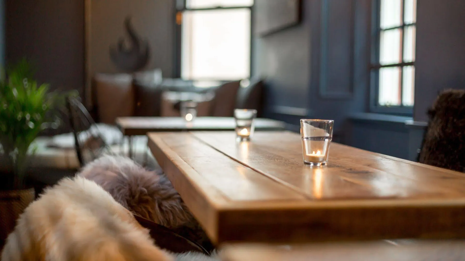 The Baxter Hostel Edinburgh